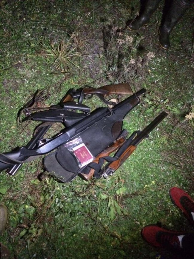 На Волині браконьєри вбили лося, а м'ясо розфасували в мішки. ФОТО