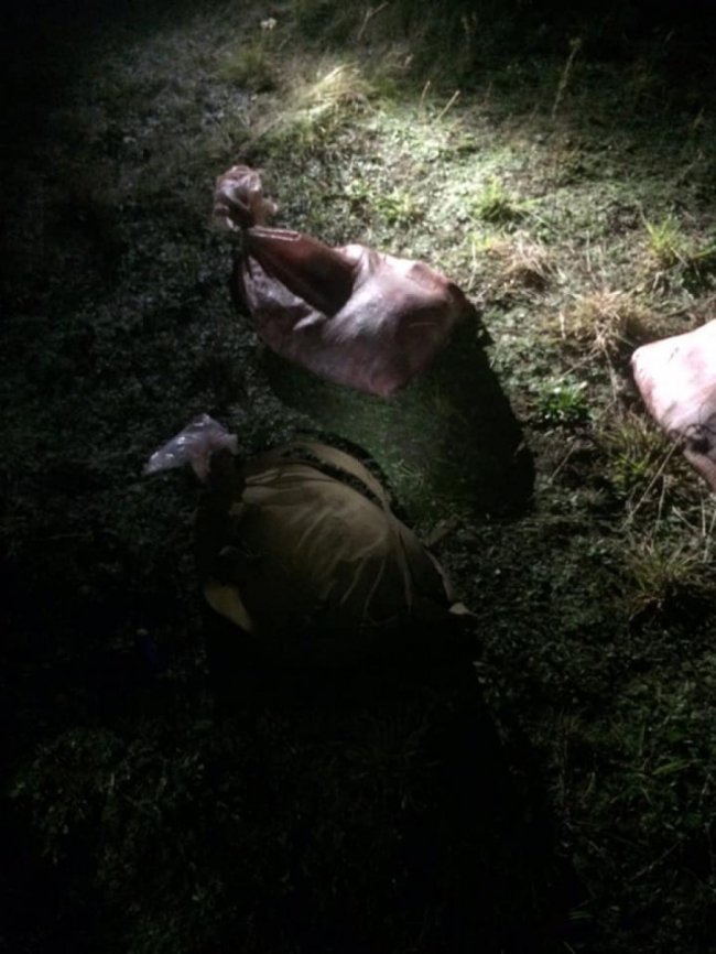 На Волині браконьєри вбили лося, а м'ясо розфасували в мішки. ФОТО