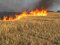 На Дніпропетровщині фермер палив стерню на своєму полі та знищив сусіду 43 гектари пшениці