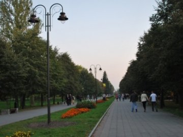 У Луцьку хочуть перевірити законність вирубки зелених насаджень в парку
