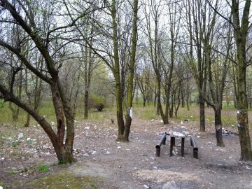 Луцькрада вирішила упорядкувати парк на 40-му кварталі