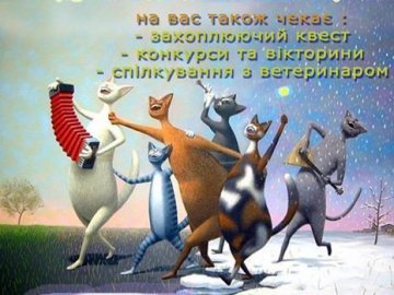 «Весняний муркотун»: у Володимирі – конкурс котів