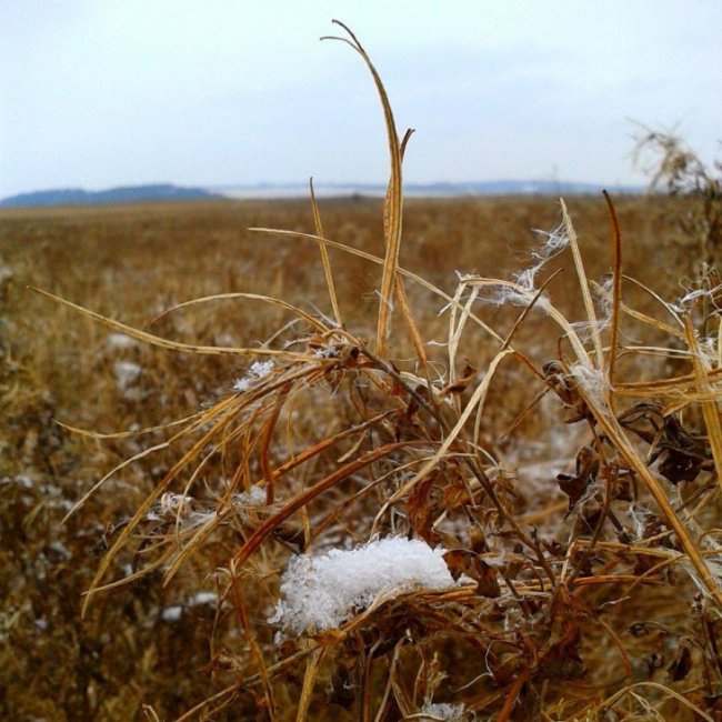 Перші подихи зими на Волині у об'єктиві фотографа