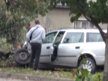 Водій виїхав на тротуар і врізався в дерево: ДТП у Луцьку.ФОТО
