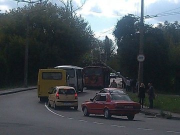 У Луцьку на тролейбус упала електроопора