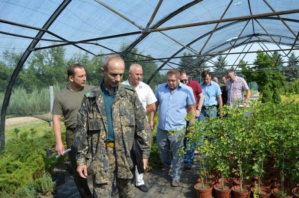 Санітарні рубки нам не вигідні, - лісівники. ФОТО Санітарні рубки нам не вигідні, - лісівники. ФОТО