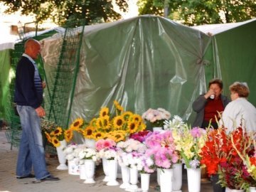 Куди перенесуть квітковий ринок у Луцьку