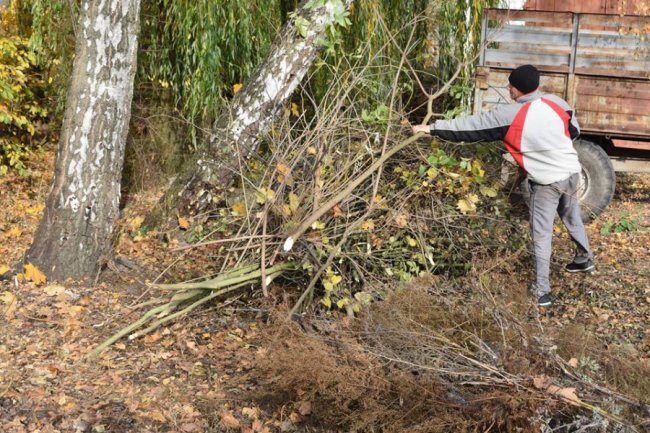 У волинському селищі влаштували осінню толоку. ФОТО