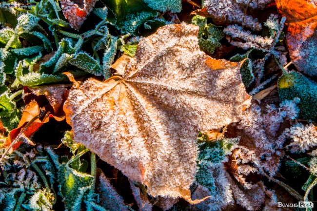 Луцьк в останній осінній день. ФОТОРЕПОРТАЖ
