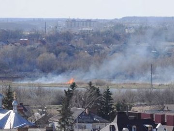 У заповіднику в Луцьку сталася пожежа