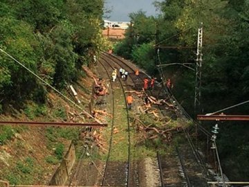 У Франції потяг врізався в дерево, що впало на колії: постраждали більше 60 людей