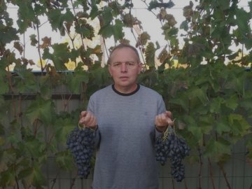 Волинянин вирощує понад 50 сортів винограду