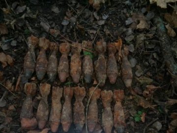 На Волині знищили 17 мін, які «чорні» археологи знайшли у полі під деревом