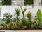 Бананове дерево, екзотичні пальми, фікуси, маракуї: у волинській школі учні створили зимовий сад. ФОТО