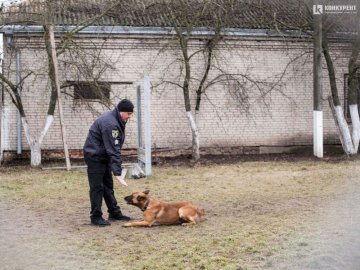 Волинський кінолог розповів про собак-поліцейських