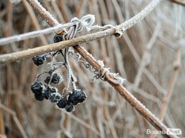 Погода в Луцьку та Волинській області на п’ятницю, 12 січня