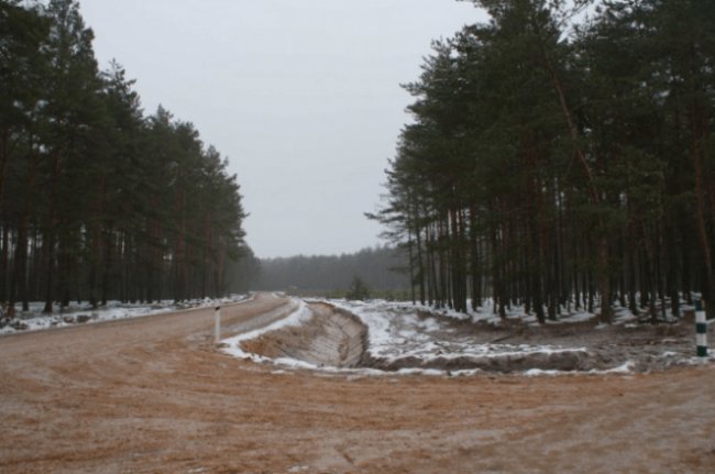 Лісівники Волині за минулий рік відремонтували майже 300 кілометрів доріг
