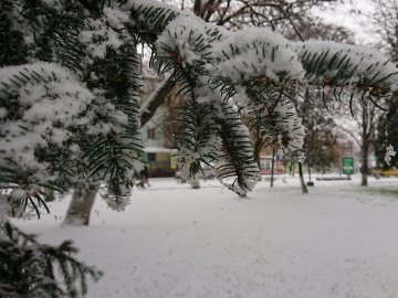 Вулиці Володимира засипало снігом. ФОТО