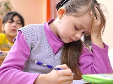Волинським посадовцям наказали провести уроки в школах