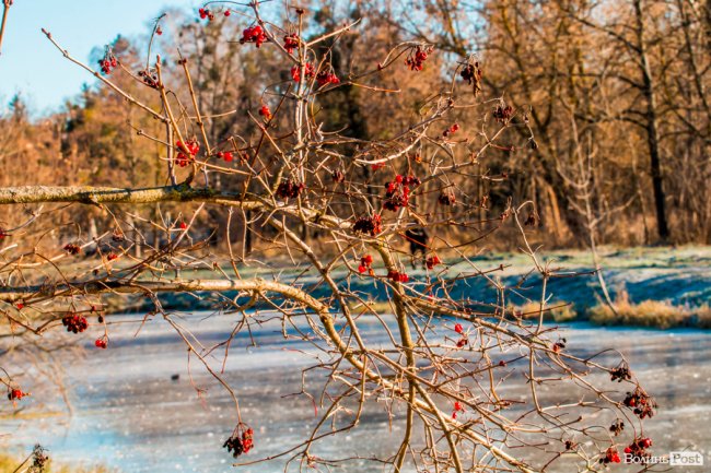 Луцьк в останній осінній день. ФОТОРЕПОРТАЖ