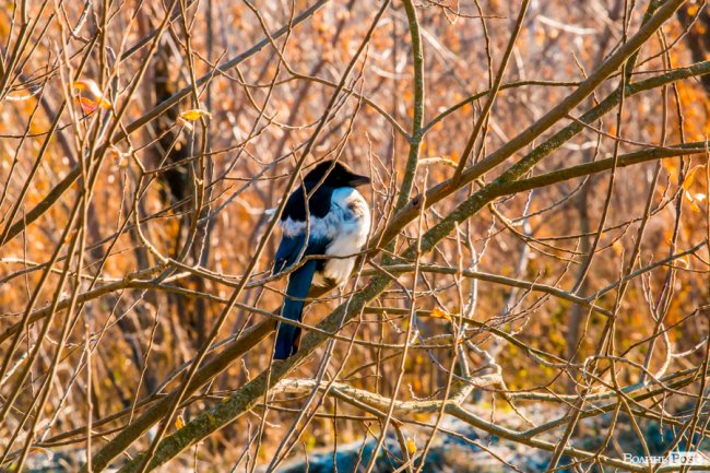Луцьк в останній осінній день. ФОТОРЕПОРТАЖ