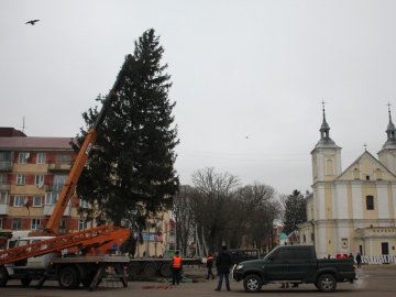Як цьогоріч прикрасять головну ялинку у Володимирі