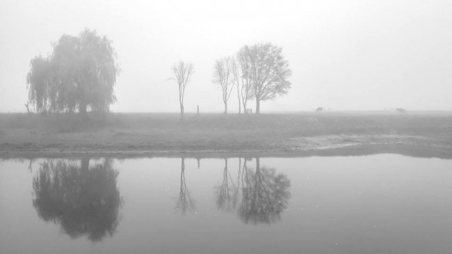 Моторошний луцький парк у полоні туману. ФОТО