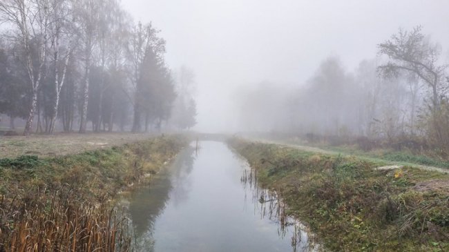 Моторошний луцький парк у полоні туману. ФОТО