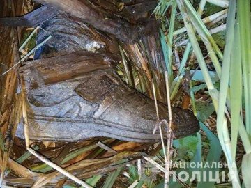 Чоловіка розшукували рік: у тернопільському парку виявили скелет людини