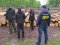 На Ківерцівщині провели масові обшуки в оселях людей, які причетні до крадіжок лісу. ФОТО