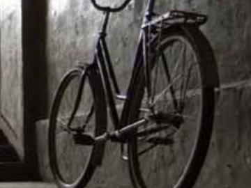 У Рожищенському районі зловмисник викрав велосипед