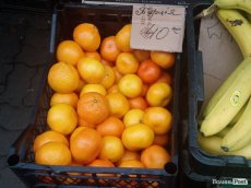 Від і до: скільки у Луцьку коштують перші мандарини. ФОТО