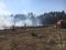 За два дні – 22 пожежі: волиняни продовжують палити суху траву, чагарники і сміття. ФОТО, ВІДЕО
