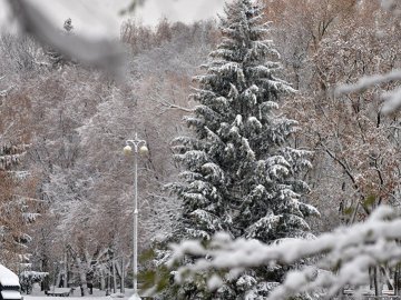 Погода в Луцьку та Волинській області на середу, 16 січня