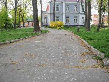 Хліб з горілкою чи кронування: як боротимуться з воронами у парку Володимира-Волинського