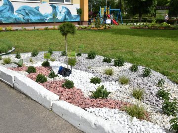 У Луцьку на території дитячого садочка з'явився ботанічний куточок. ФОТО