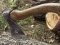 Після перевірки Горохівського лісомисливського господарства виявили збитків на понад мільйон гривень