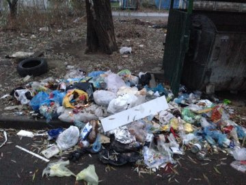 «Свинство вже в крові»: у Луцьку скаржаться на гори сміття біля контейнерів. ФОТО