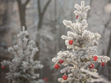 Погода в Луцьку та Волинській області на четвер, 9 січня
