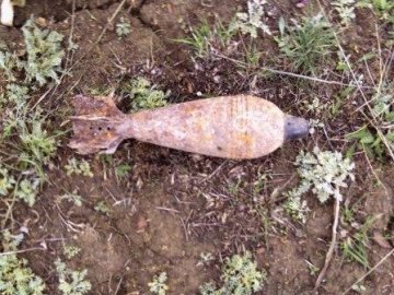 На Ковельщині знайшли 10 мінометних снарядів