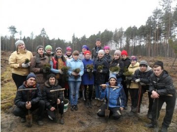 Волинські учні сільських шкіл посадили 10 гектарів лісу. ФОТО