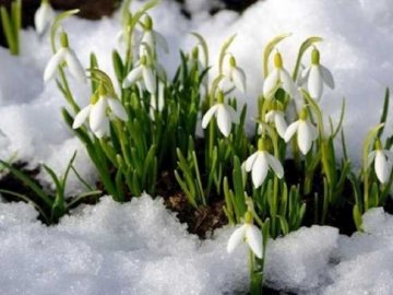 Синоптики повідомили, якою буде весна цьогоріч