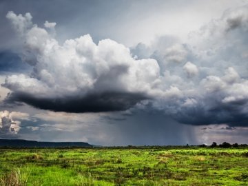 Прогноз погоди в Луцьку на середу, 16 липня