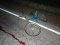 На Волині п’яний водій «RENAULT Trafic» на смерть збив велосипедиста