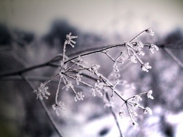 Погода в Луцьку та Волинській області на п’ятницю, 4 грудня