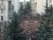 «Дякую, Петре!»: українці влаштували акцію біля Адміністрації Президента. ВІДЕО