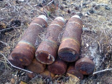 В Камінь-Каширському районі знайшли боєприпраси. ФОТО