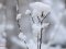 Волинський фотограф поділився казковими світлинами засніженого Луцька