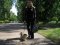 Волинянка звинувачує свою сусідку в загибелі собаки