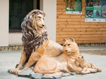 У Луцькому зоопарку можна сфотографуватись з левами та ведмедями. ФОТО 